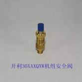 开利空调配件30XAXQ风冷螺杆机安全阀 泄压阀00 00PPG000030800