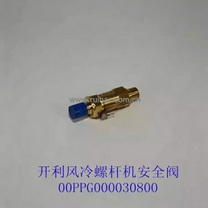 开利空调配件30XAXQ风冷螺杆机安全阀 泄压阀00 00PPG000030800